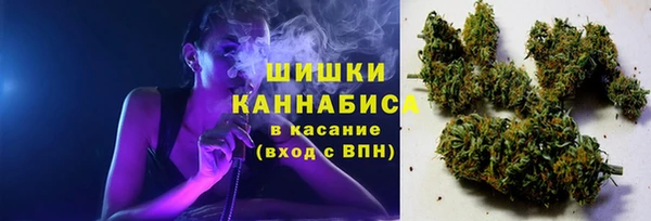 PSILOCYBIN Надым
